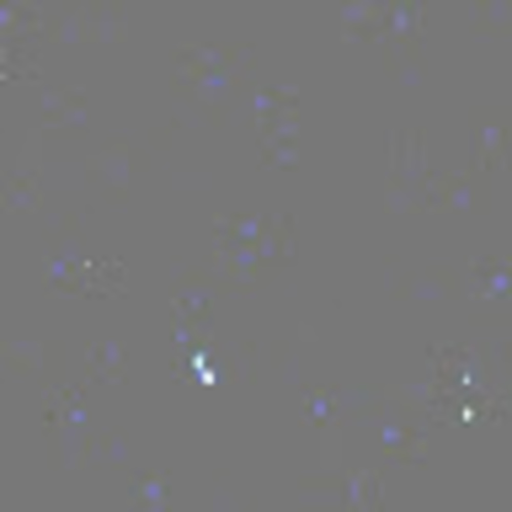 Meet your Posher, Cedricxs